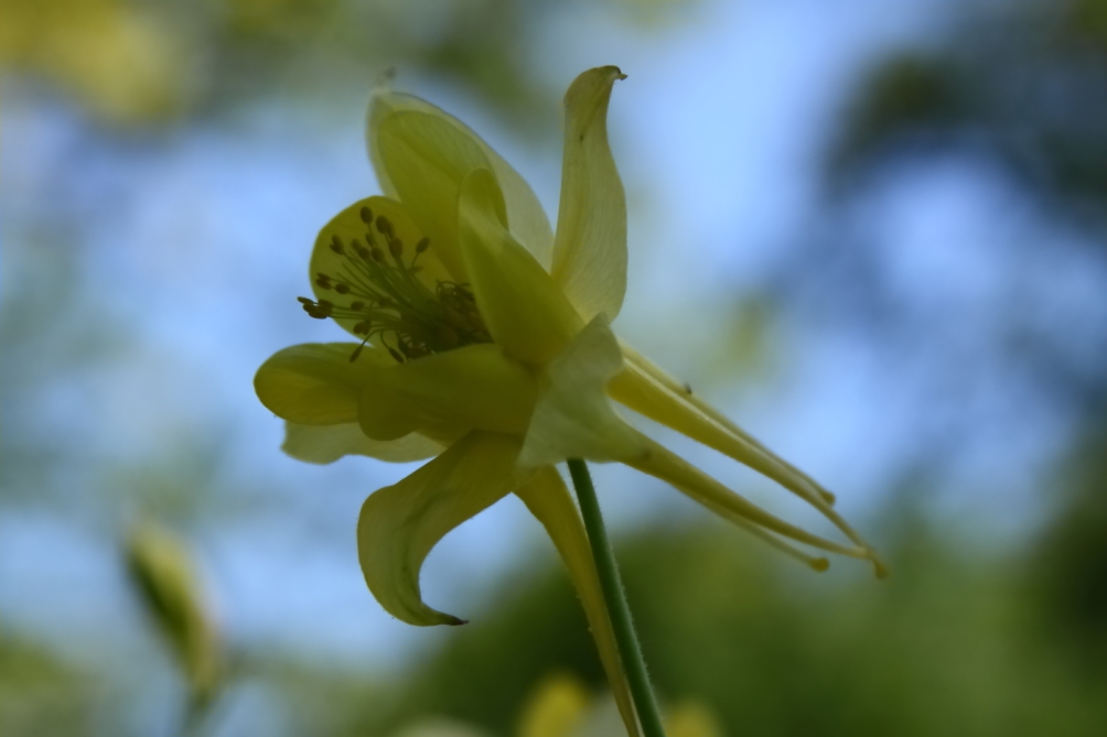 2012 05 20 3655